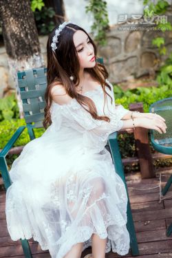 《金花瓶楷梅花2》