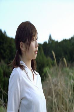 食物链在线观看高清全集免费
